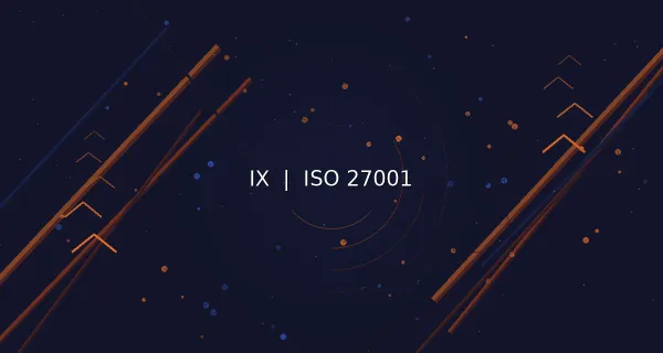 From Beta to Live: What Professionals Taught Us About IX Assess and IX CISO